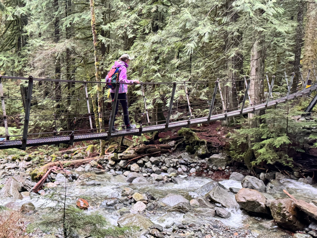 Hiker crosses a rushing creek using a small suspension bridge